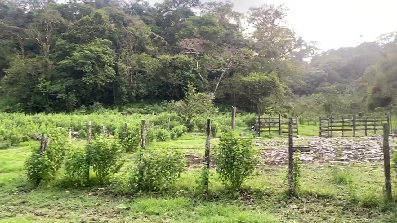 Corral y cercas junto al bosque