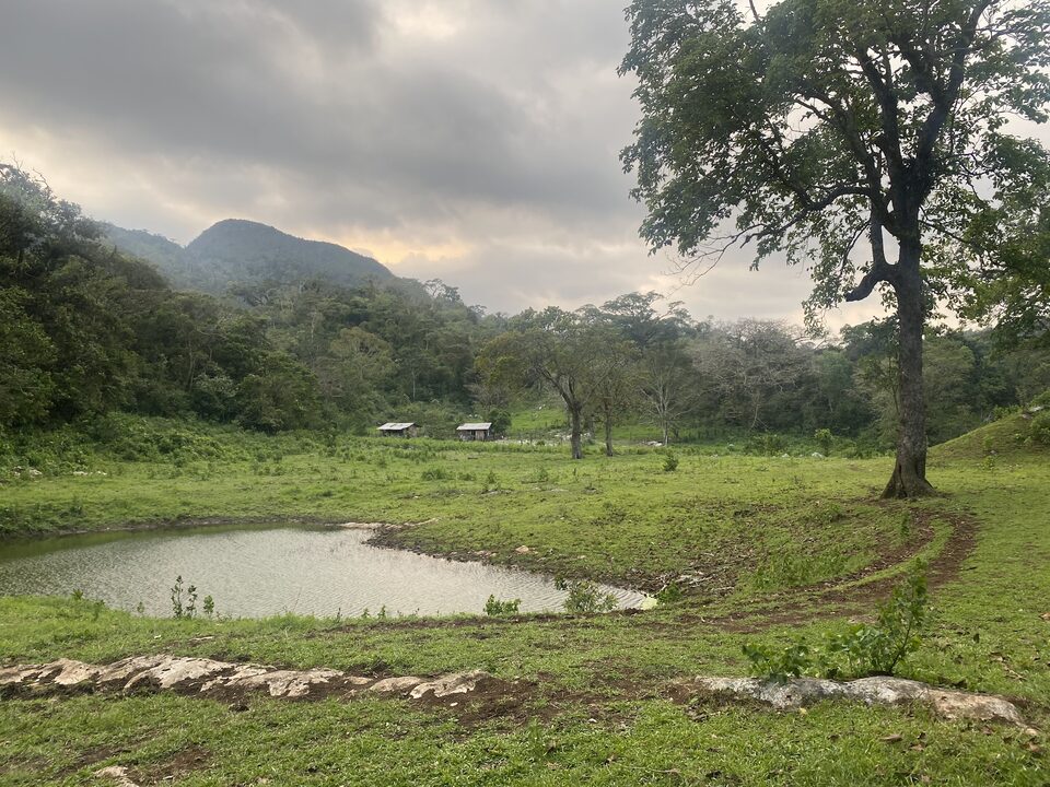 Foto del predio 1