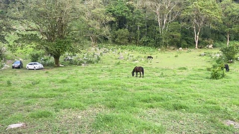 Foto del predio 2